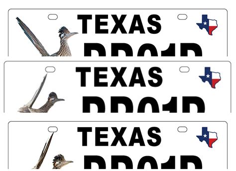 Texas Parks and Wildlife Seeks Your Vote on Road Runner Plates