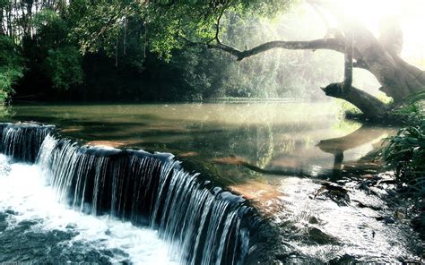 Amazon Rainforest Plants wallpaper. | Beautiful waterfalls, Waterfall pictures, Waterfall