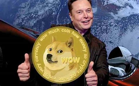 DOGE Price Anlysis: DOGE Falls 40% from ATH as Elon Musk Appears On SNL ...