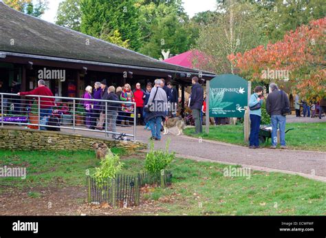 Westonbirt national arboretum shop gloucestershire hi-res stock photography and images - Alamy