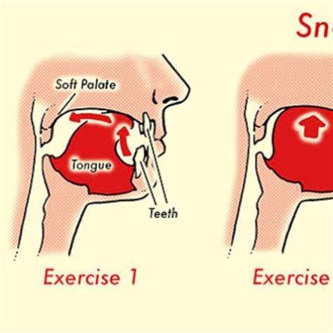 Tongue Exercise #1: Tongue Slide - Exercise How-to - Workout Trainer by Skimble