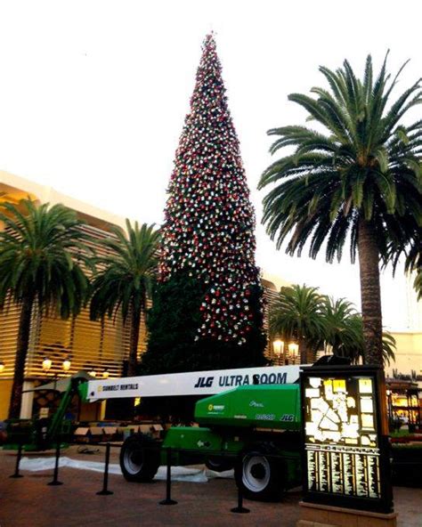 Fashion Island Tree Lighting Ceremony in Newport Beach