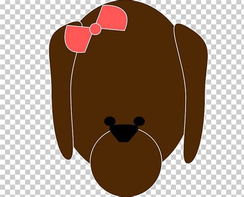 bear nose clipart 20 free Cliparts | Download images on Clipground 2024