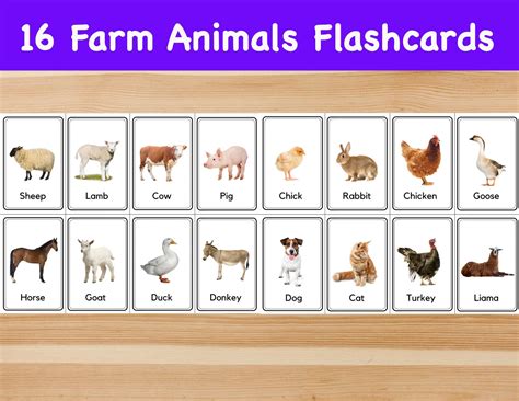 16 Farm Animals Flashcards / Image Cards for Kids, preschoolers. Nomenclature Cards. Printable ...