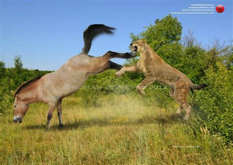 Equus vs Homotherium by RomanYevseyev on DeviantArt Prehistoric World, Prehistoric Creatures ...