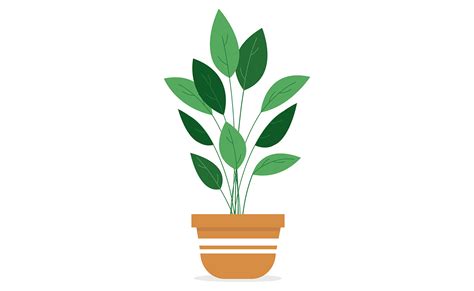 Animated Plant Graphic by primroseblume · Creative Fabrica