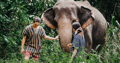 Join In Elephant Care Camp in Chiang Mai and Mae Taman - Klook