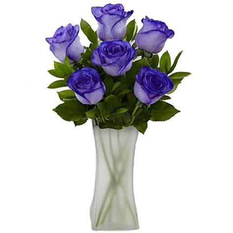 The Ultimate Bouquet Gorgeous Deep Purple Rose Bouquet in Clear Vase (6 ...