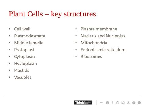 CAM102A Botany Week 1: The language of Botany - ppt download