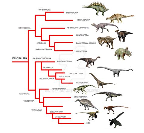 Dinosaur phylogeny by NTamura on DeviantArt