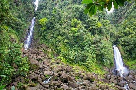 Fort Young Hotel 5 Dominica Waterfalls Worth Chasing