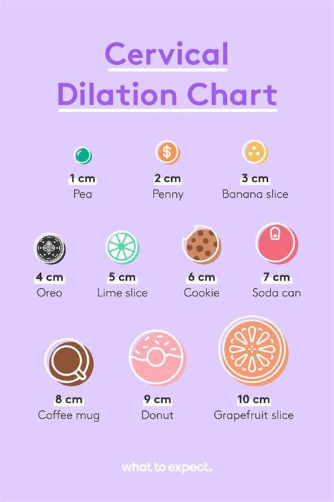 Cervix dilation chart the stages of labor in pictures – Artofit