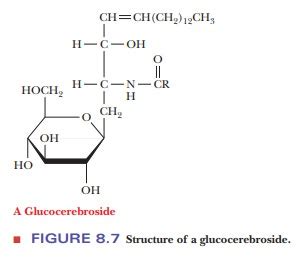 Glycolipid Chemical Structure