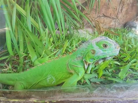 Acuario Mazatlan - 2019 All You Need to Know BEFORE You Go (with Photos) - TripAdvisor