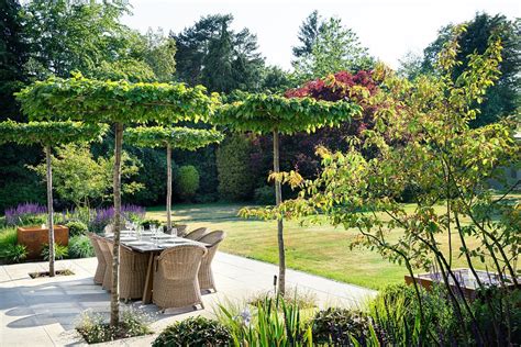 SUSSEX GARDEN | Pollyanna Wilkinson Garden Design