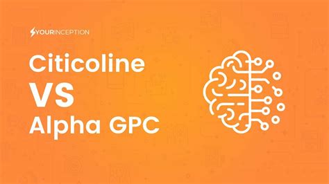 Citicoline Vs Alpha GPC: Which Choline Compound Is Better?