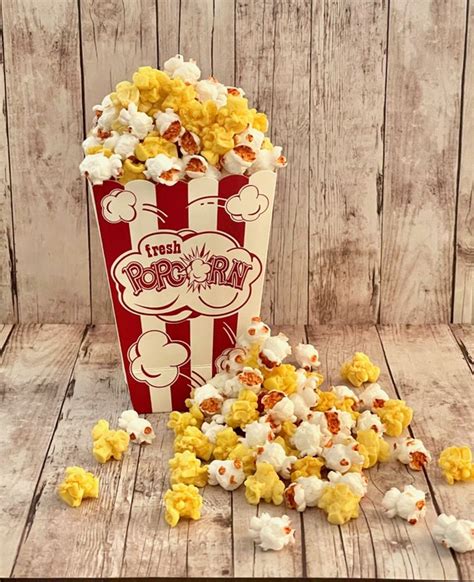 Fake Popcorn Photo Prop Party Prop Realistic Popcorn Movie - Etsy