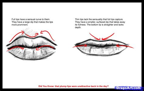 Male Lips Drawing at GetDrawings | Free download