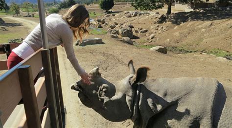 San Diego Zoo Safari Park | I Love San Diego