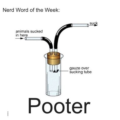 Nerd‬ Word of the Week: Pooter ~ A suction bottle for collecting ...