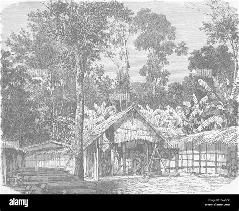 GABON: Gabon Village in the woods, antique print 1891 Stock Photo - Alamy