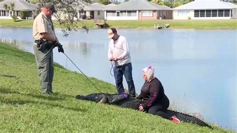 Elderly Florida woman dies after encounter with alligator | CNN