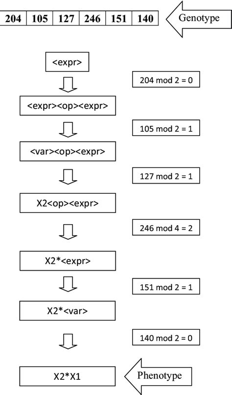 Genotype-tophenotype mapping process | Download Scientific Diagram