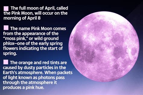 Rare 'Super Pink Moon' will fill skies next week – how to spot it