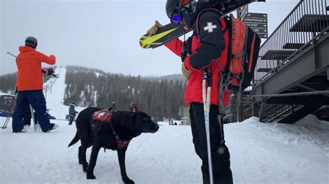 Val’s Ventures: Avalanche Rescue Dogs | FOX21 News Colorado