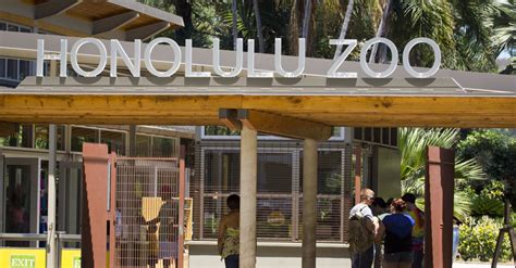 Honolulu Zoo Information, Photos & More | Oahu Hawaii