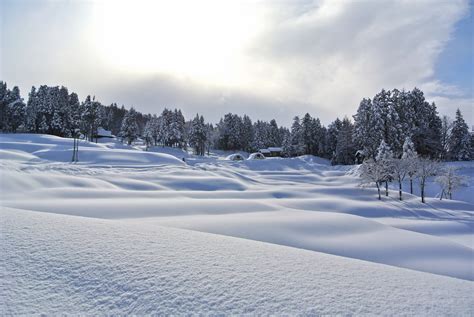 Fotos gratis : paisaje, montaña, nieve, invierno, blanco, suelo, escarcha, natural, hojas ...