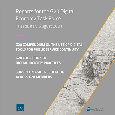 Reports for the G20 Digital Economy Task Force