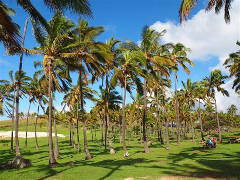 Anakena beach, the most beautiful place of Easter Island - Tiny Travelogue