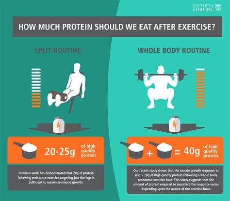 How Much Protein You Need After a Workout - Men's Journal