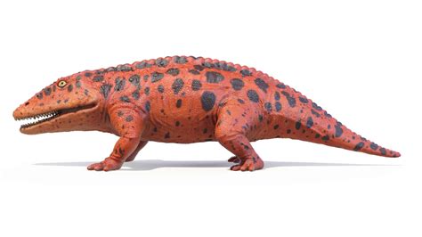 Eryops - A-Z Animals