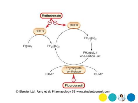 Antineoplastic agents