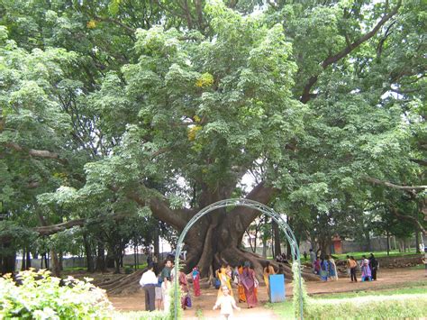 Lalbagh | Botanical gardens at Bangalore | Tipu Sultan | Bangalore Tourism