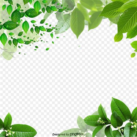 Green Leaves Border Png