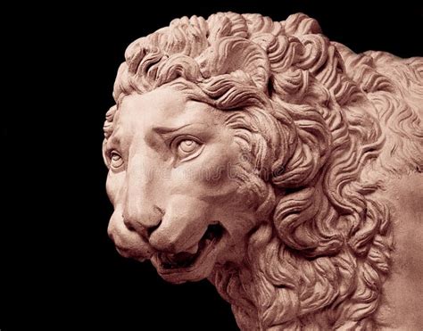 Lion Head Sculpture Isolated Stock Image - Image of history, face: 3659631