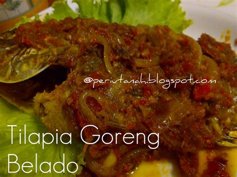 periuktanah: Ikan Tilapia Goreng Belado (berlada)