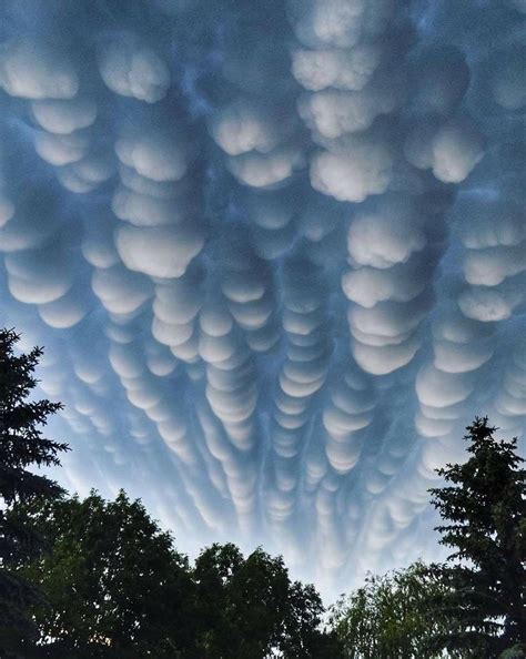 Mammatus clouds over Ontario : r/interestingasfuck