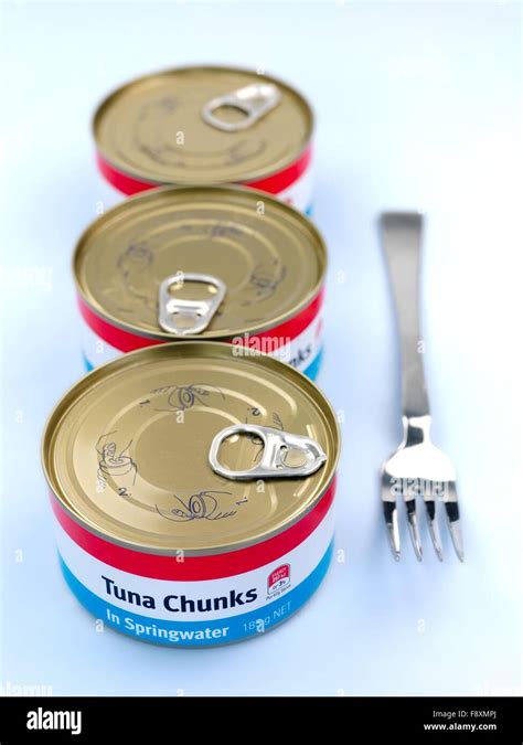 Generic Canned Tuna Stock Photo - Alamy