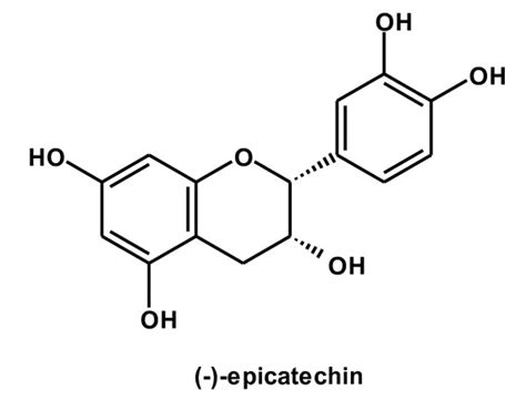 The Powerful Antioxidant: Epicatechin