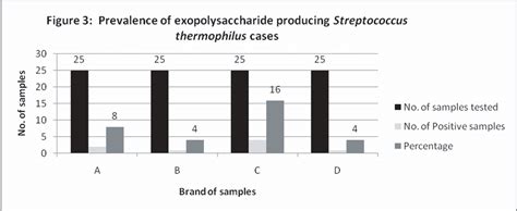 Streptococcus thermophilus under microscope thermophilus was also ...