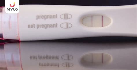 Evaporation Line vs Faint Positive: The Ultimate Guide to Pregnancy Test Results | MyloFamily