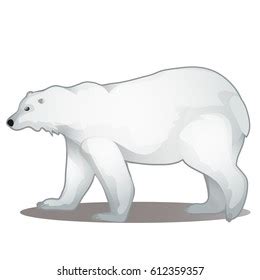 Cute Animated Polar Bear Isolated On Stock Vector (Royalty Free) 612359357 | Shutterstock