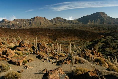 Teide National Park (Parque Nacional del Teide), Tenerife | Tickets & Tours - 2024