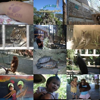 whew: Avilon Zoo 2009