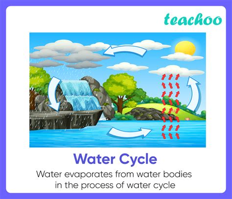 11+ Examples of Evaporation in our daily life (Explained!) - Teachoo