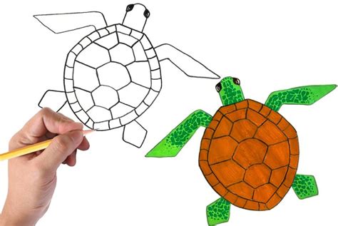 Turtle Easy Drawing – drawspaces.com